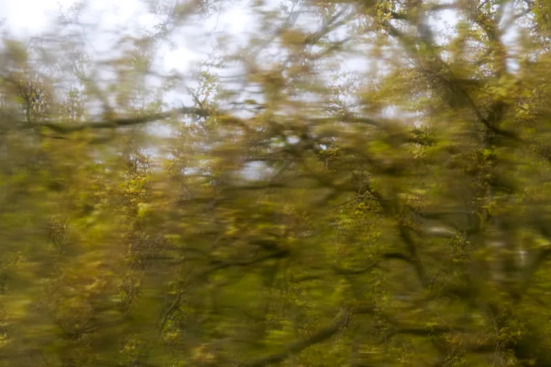 Rain on window I, Home. 2024.